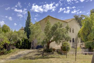Finca rústica  con cultivo de almendros y olivos junto al Pou Clar, Ontinyent, Valencia