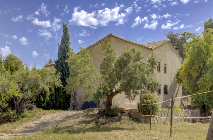 Finca rústica  con cultivo de almendros y olivos junto al Pou Clar, Ontinyent, Valencia
