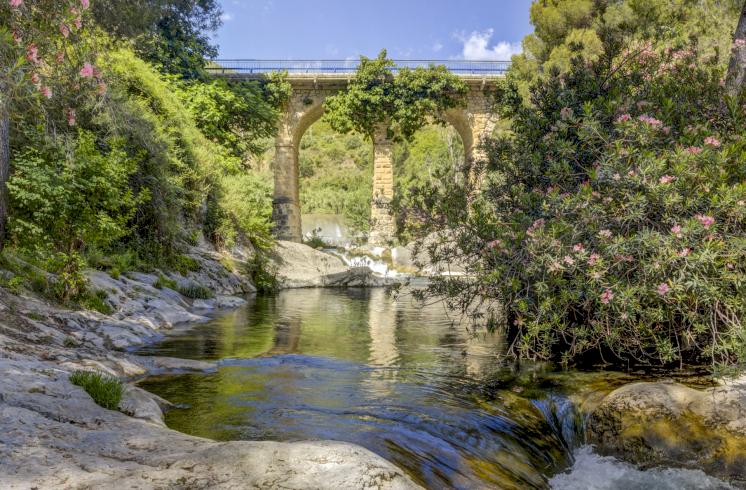 Finca rústica  con cultivo de almendros y olivos junto al Pou Clar, Ontinyent, Valencia