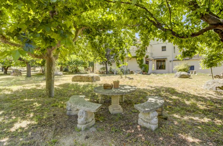 Finca rústica  con cultivo de almendros y olivos junto al Pou Clar, Ontinyent, Valencia