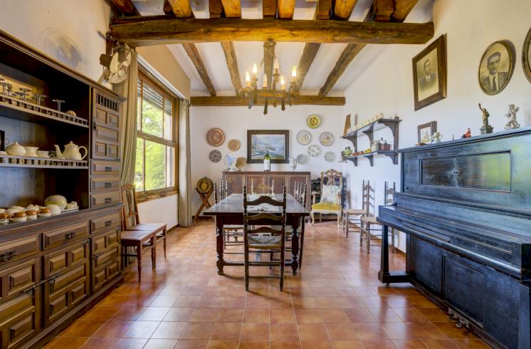 Finca rústica  con cultivo de almendros y olivos junto al Pou Clar, Ontinyent, Valencia