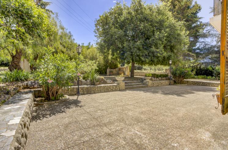 Finca rústica  con cultivo de almendros y olivos junto al Pou Clar, Ontinyent, Valencia