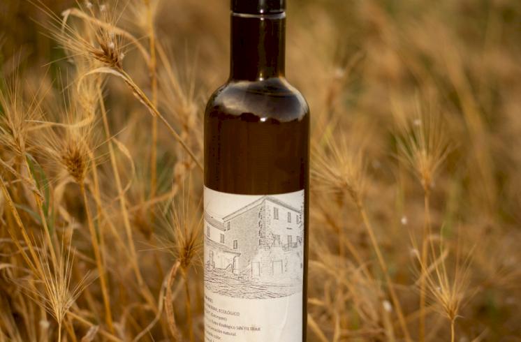 Finca rústica  con cultivo de almendros y olivos junto al Pou Clar, Ontinyent, Valencia