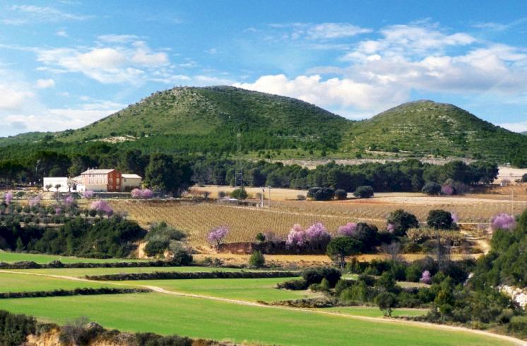 Finca de 196 ha con Masía del siglo XVIII convertida en hotel rural a 1 hora de Valencia y Alicante.