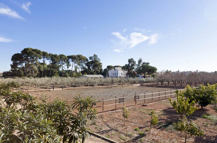 Finca con vivienda, huerto y restaurante en Valencia en venta.